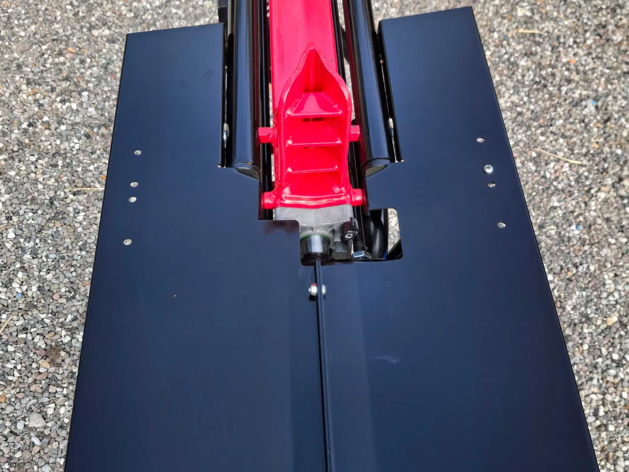 Billede 8 - Høj Brændekløver fra 2022