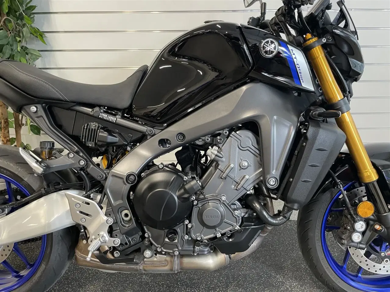 Billede 4 - Yamaha MT 09 SP