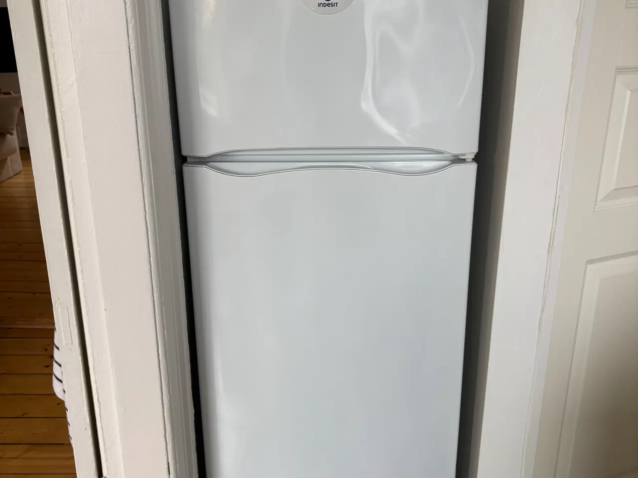 Billede 1 - Køle/fryseskab - indesit