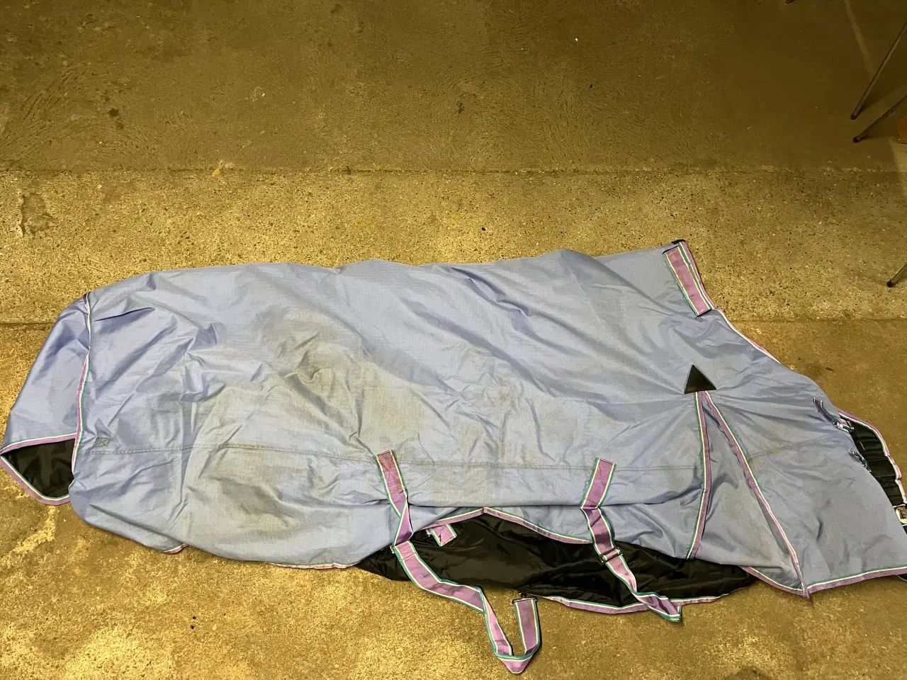 Billede 1 - Tika 4Horses dækkener
