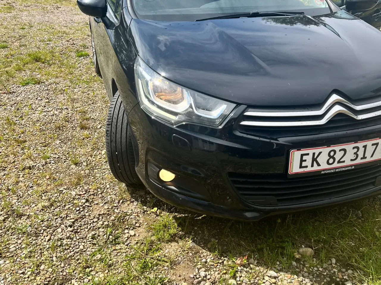 Billede 8 - 2016 Citroen C4 1,6 bluehdi 100 upgrade 5d