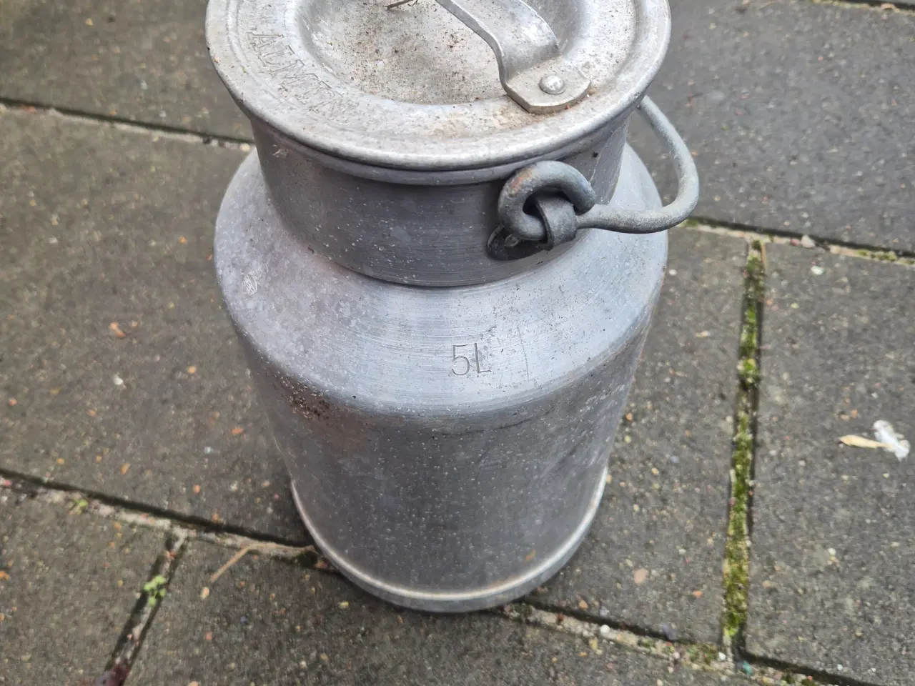 Billede 4 - 5 L. mælkejunge