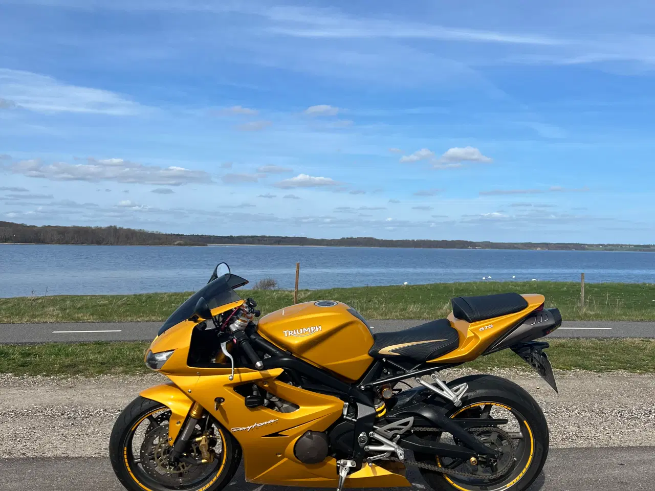 Billede 5 - Triumph Daytona 676