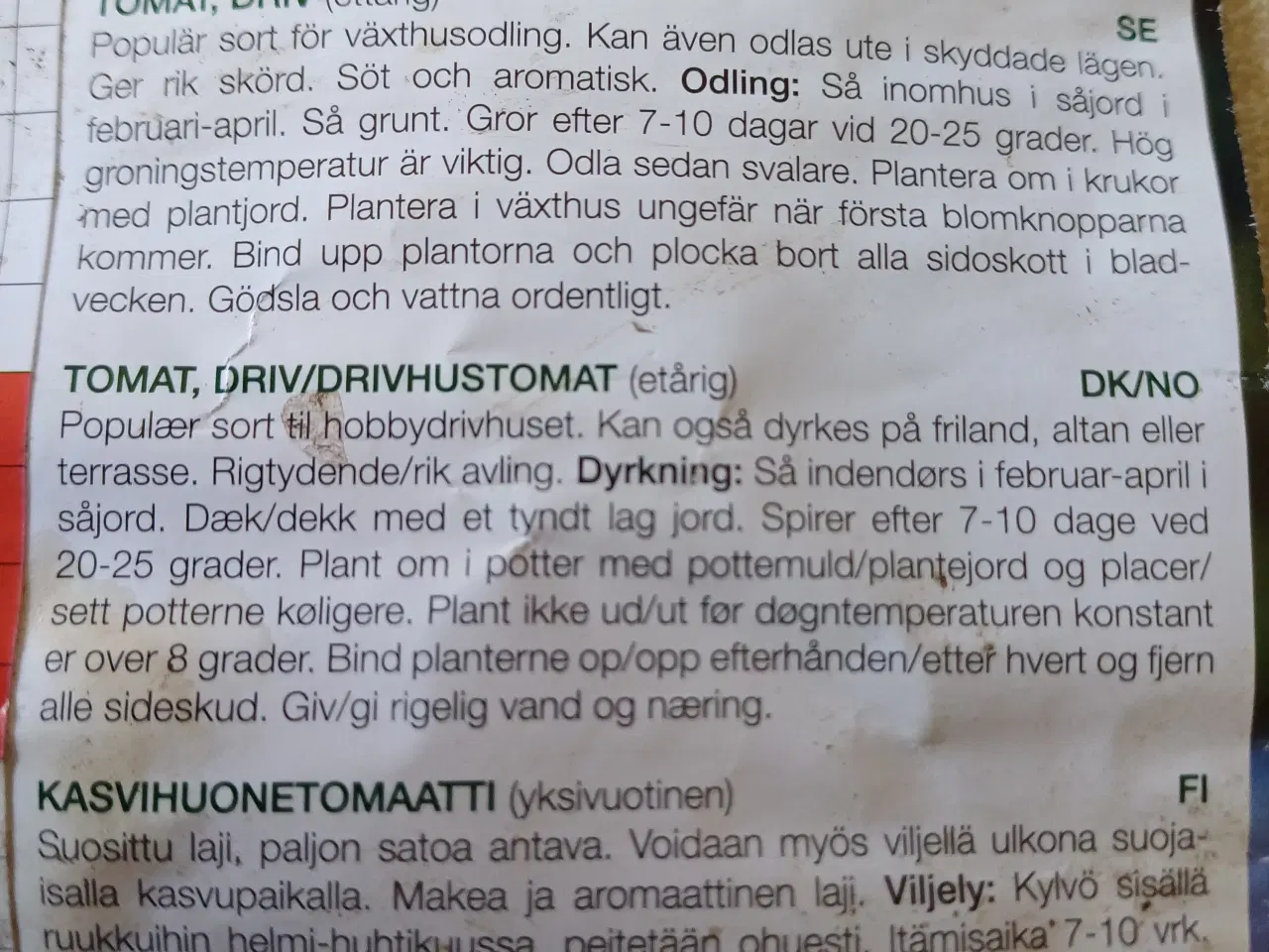 Billede 10 - Tomatplanter mange forskellige