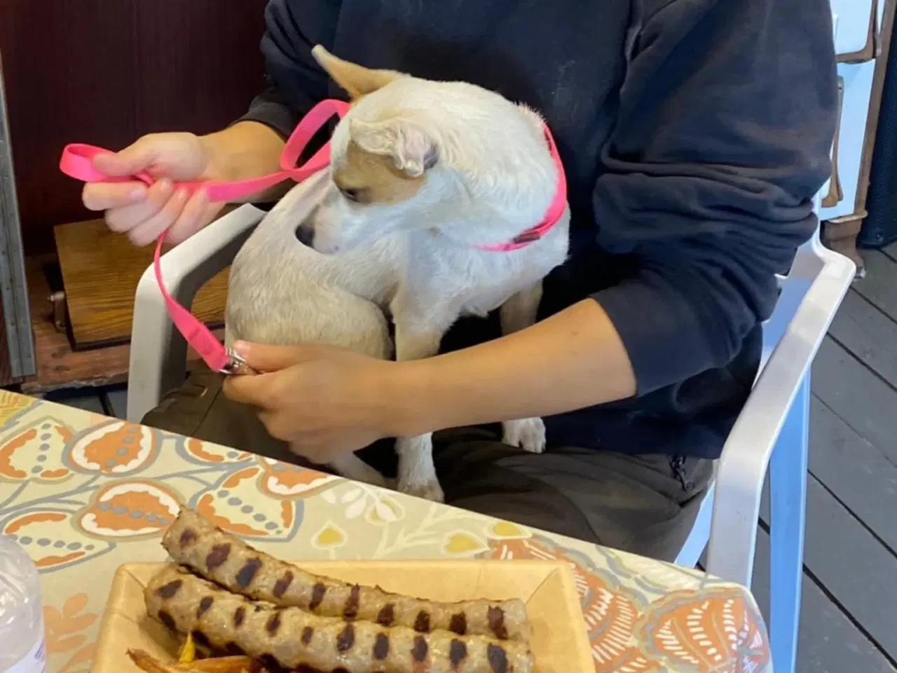 Billede 3 - Lille Viggo leder efter sit eget hjem