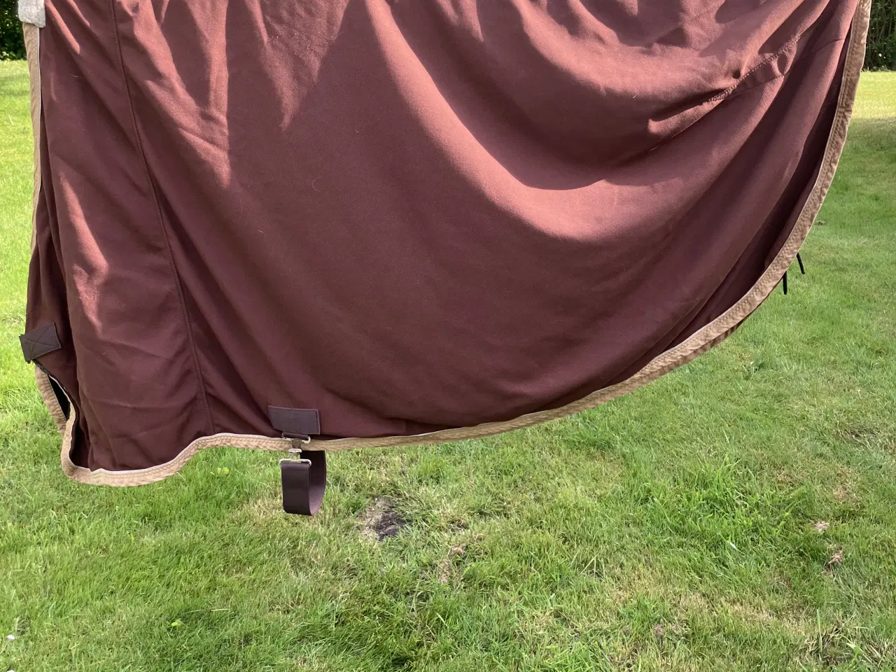 Billede 1 - Dækken til Islænder/pony 