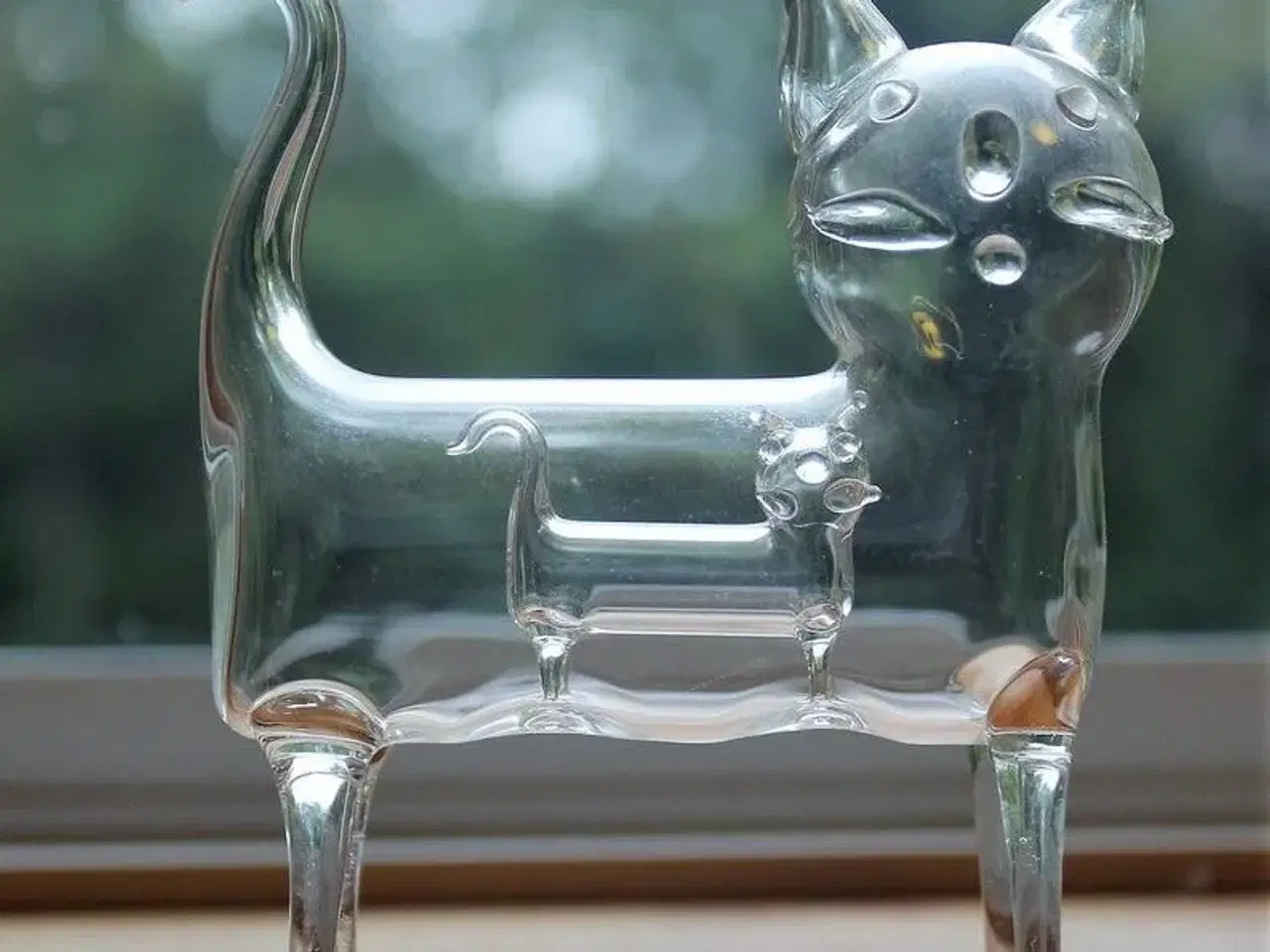 Billede 2 - SØGER: glaskat med killinger