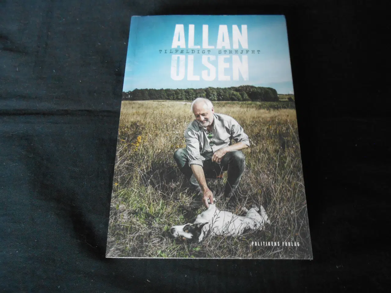 Billede 1 - Allan Tilfældigt Strejfet Olsen