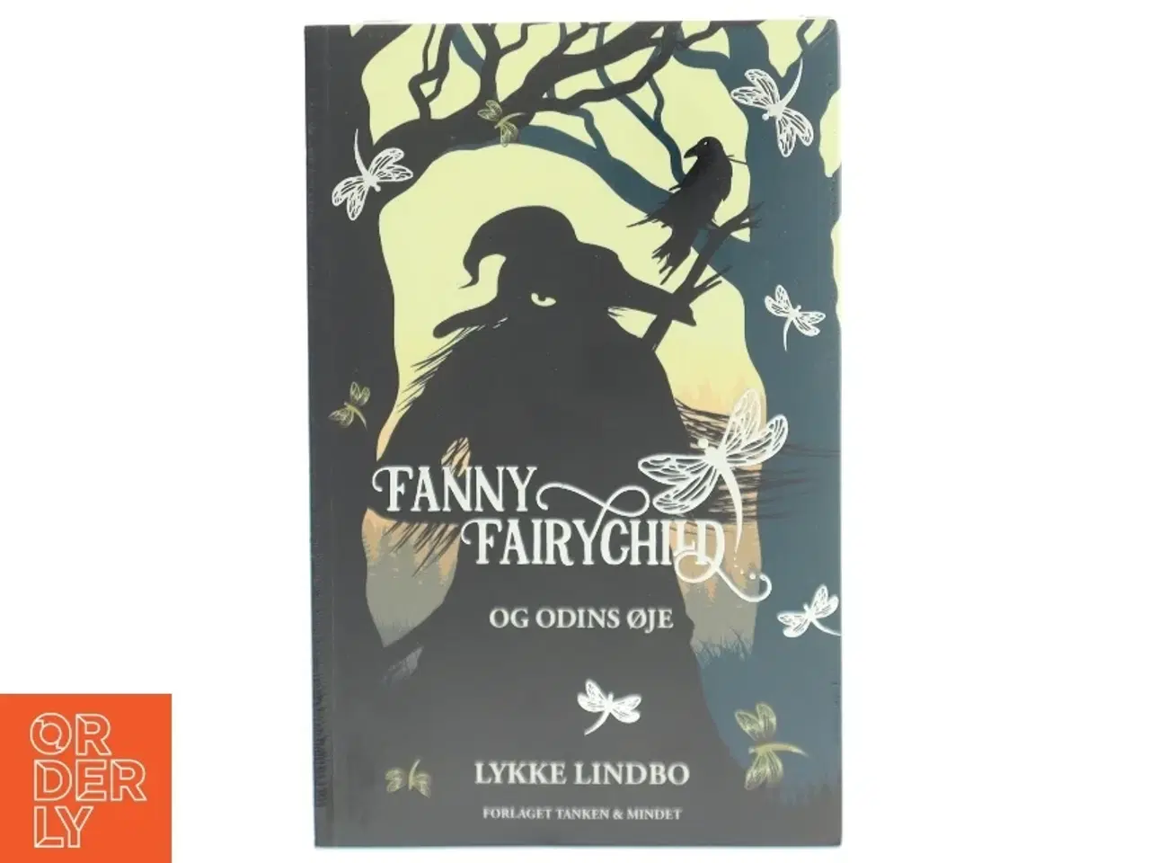 Billede 1 - Fanny Fairychild og Odins øje af Lykke Lindbo (f. 1969) (Bog)