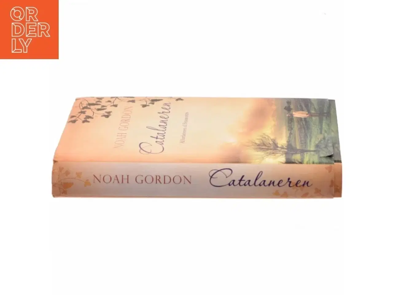 Billede 2 - Catalaneren af Noah Gordon (Bog)
