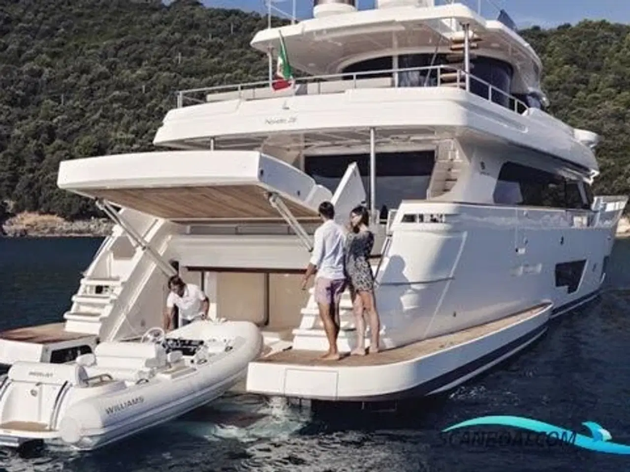 Billede 4 - Williams Dieseljet 445