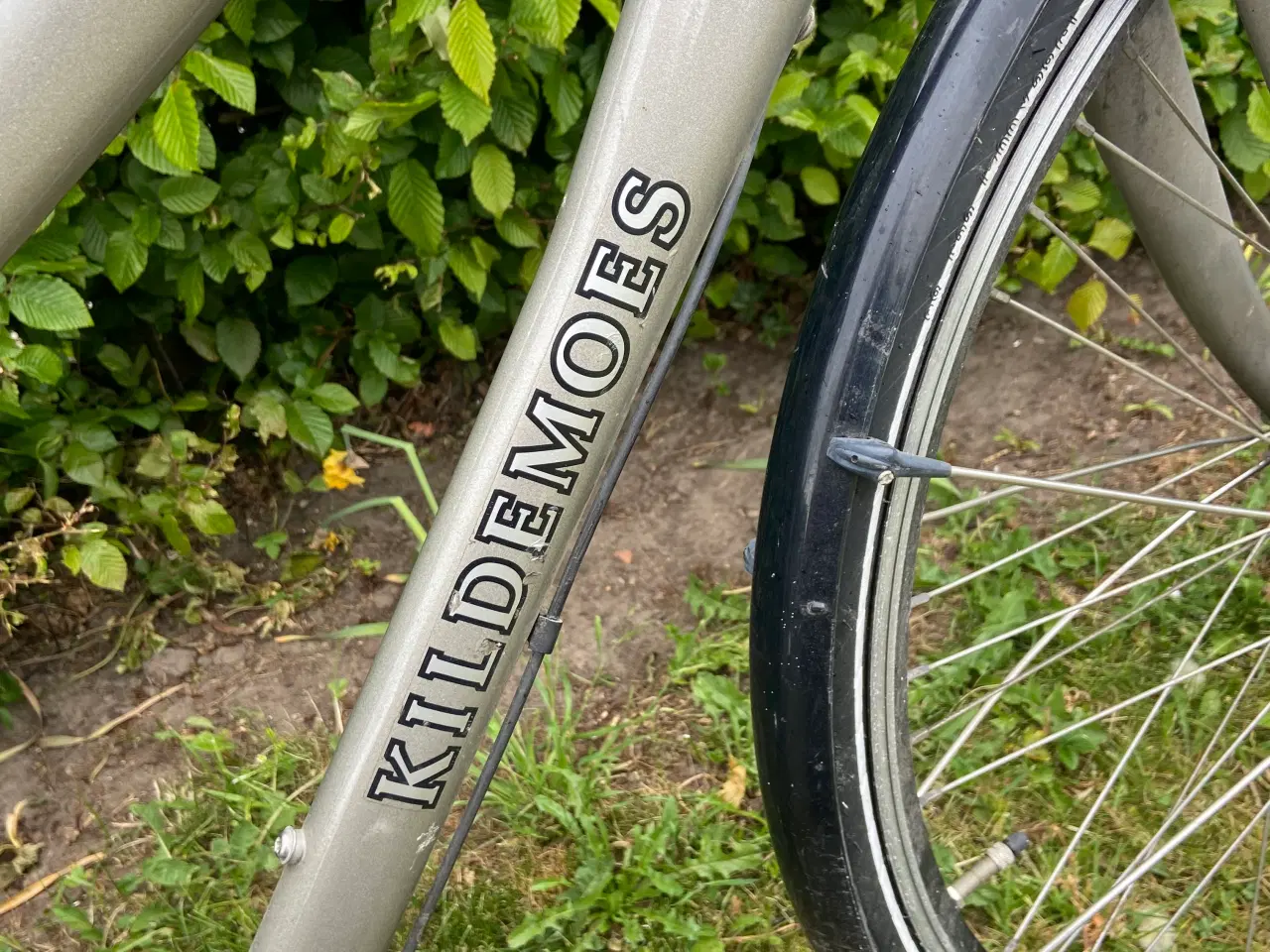 Billede 2 - Kildemoes Street