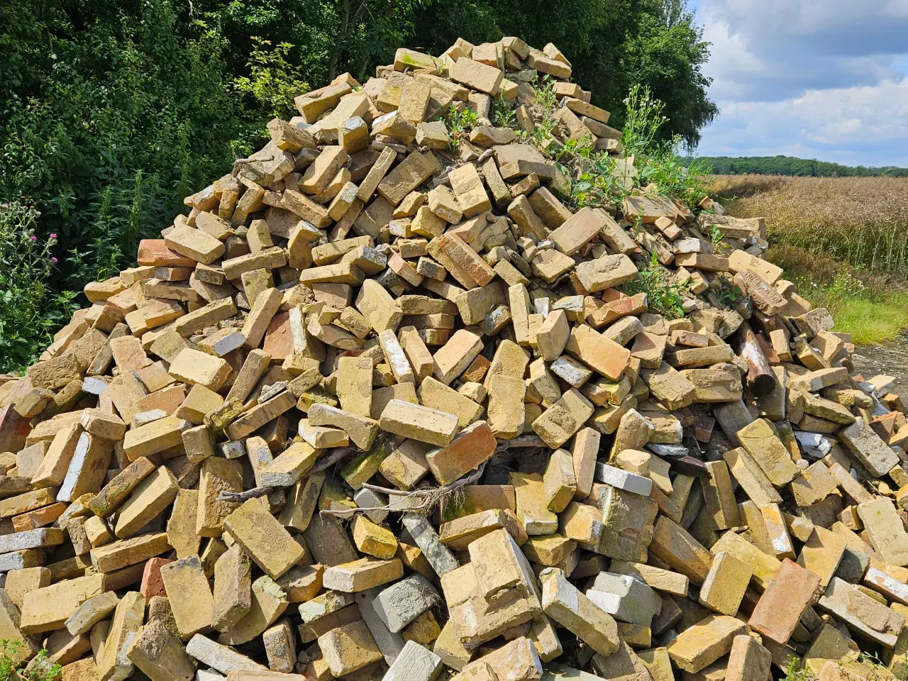 Billede 1 - Usorteret gule mursten
