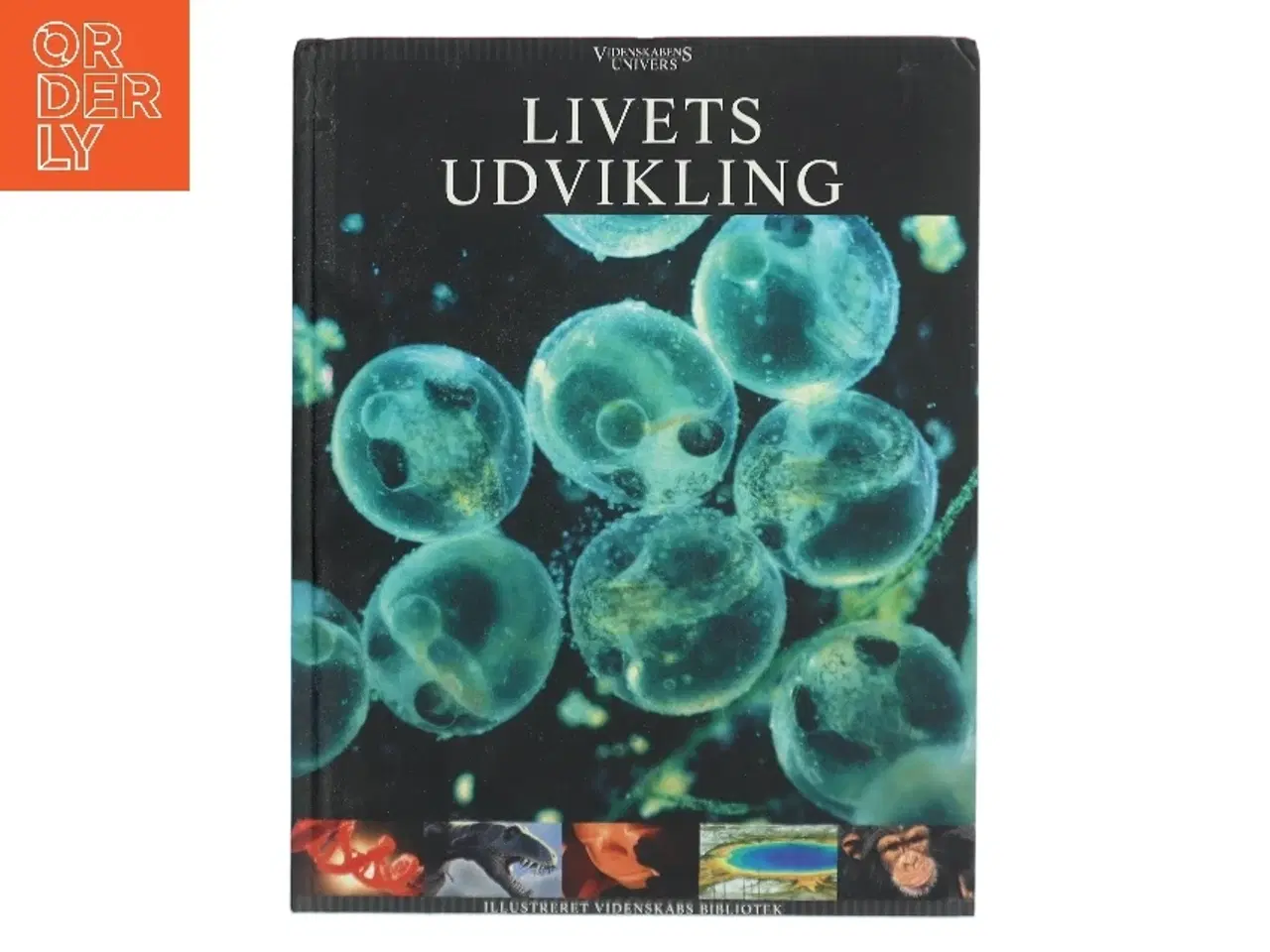 Billede 1 - Livets udvikling af <Bogforfattere ukendte< (Bog)