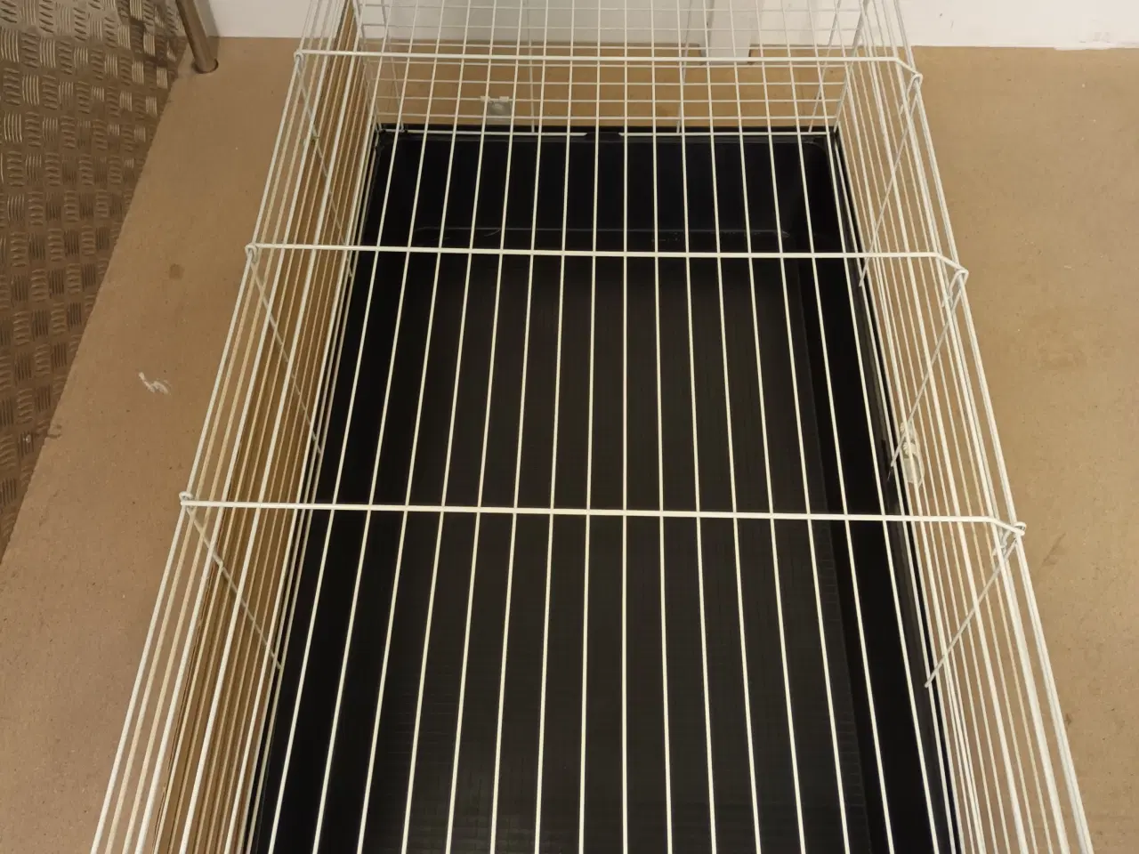 Billede 8 - Marsvinbur mm.