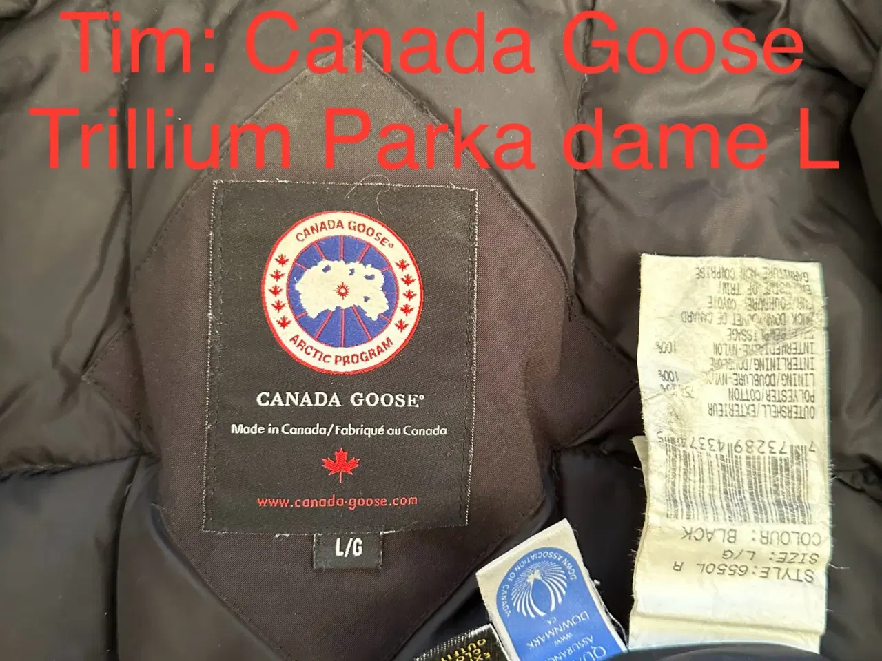 Billede 8 - Canada Goose Trillium Parka dame L 