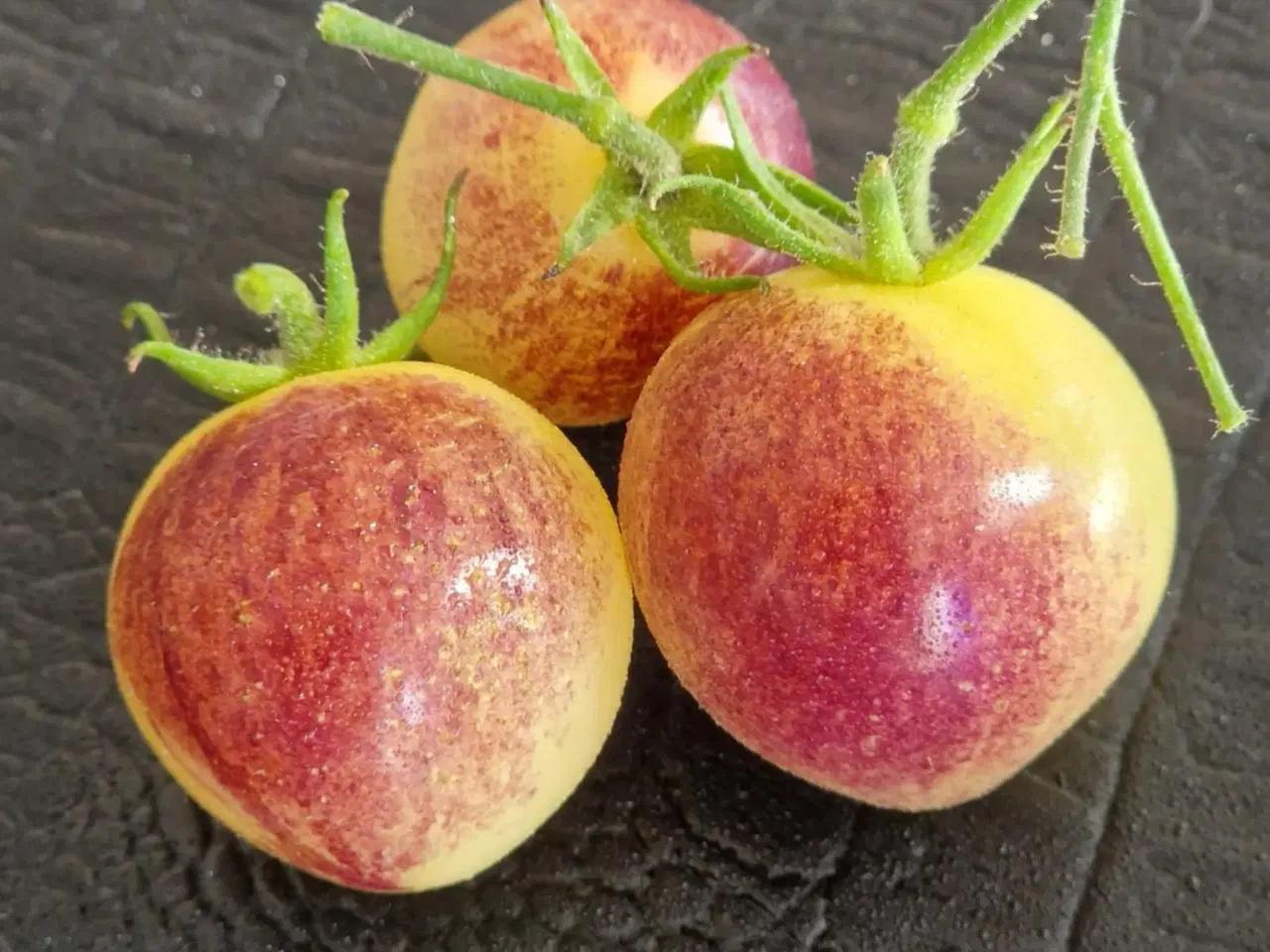 Billede 12 - Tomatfrø - 300 sorter!!!