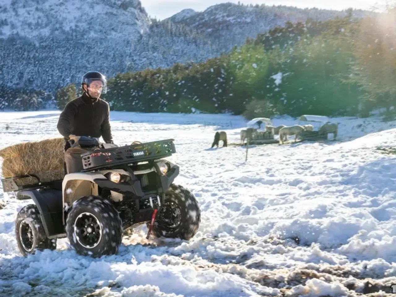 Billede 4 - Yamaha Kodiak 450 EPS Kiwami