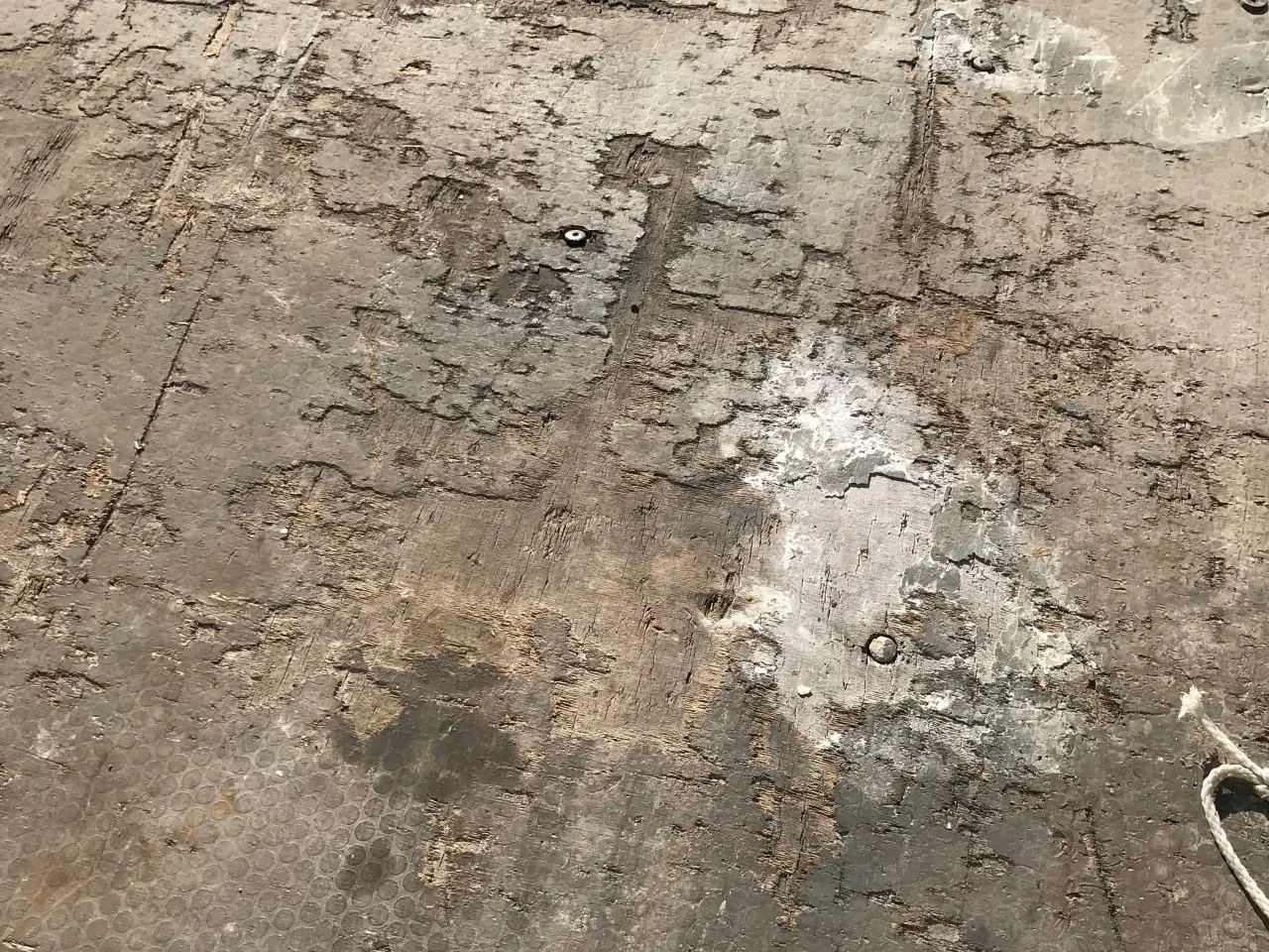 Billede 7 - Easyline nysynet. sælges kontant