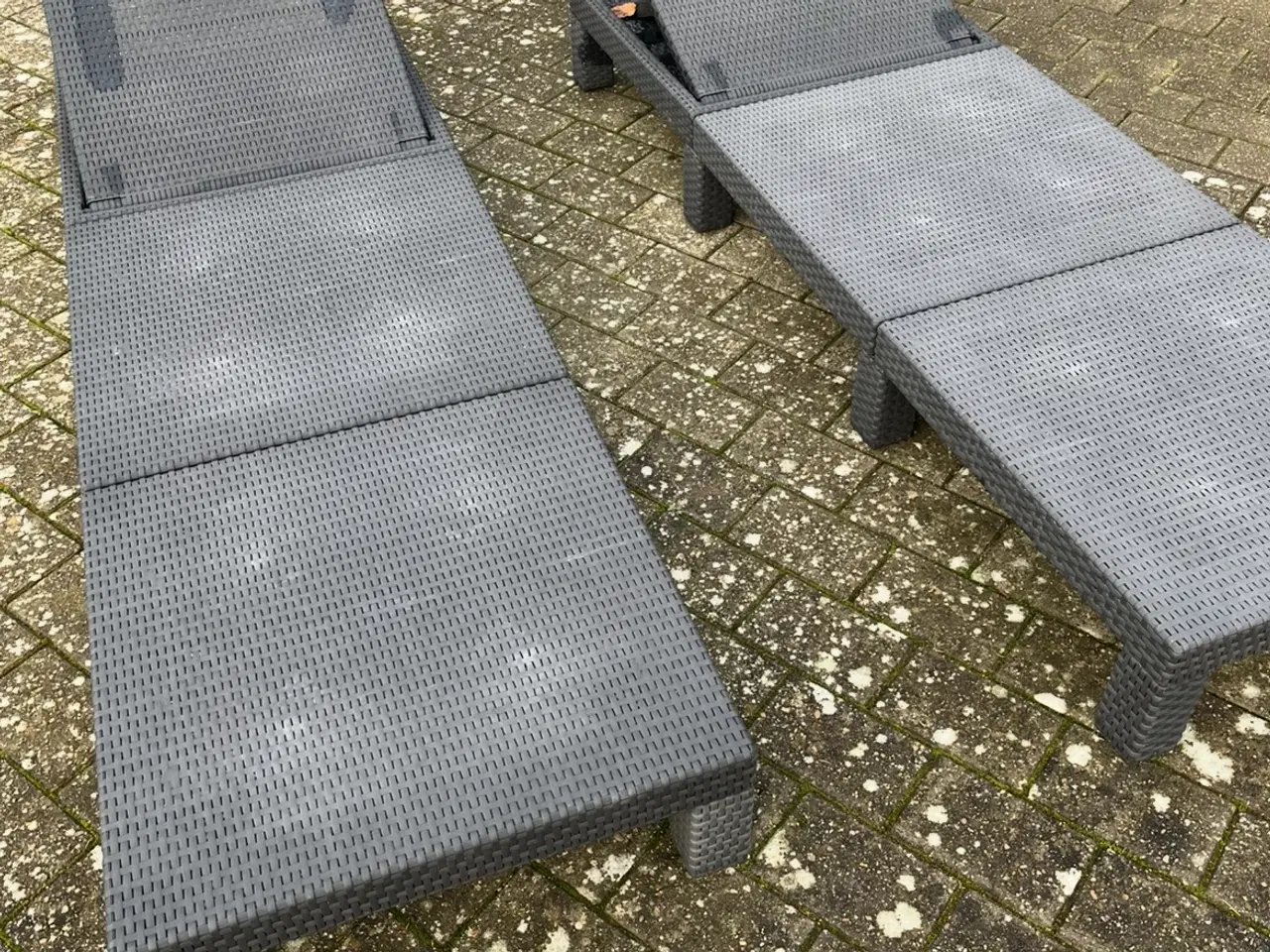 Billede 1 - Solsengen i flet