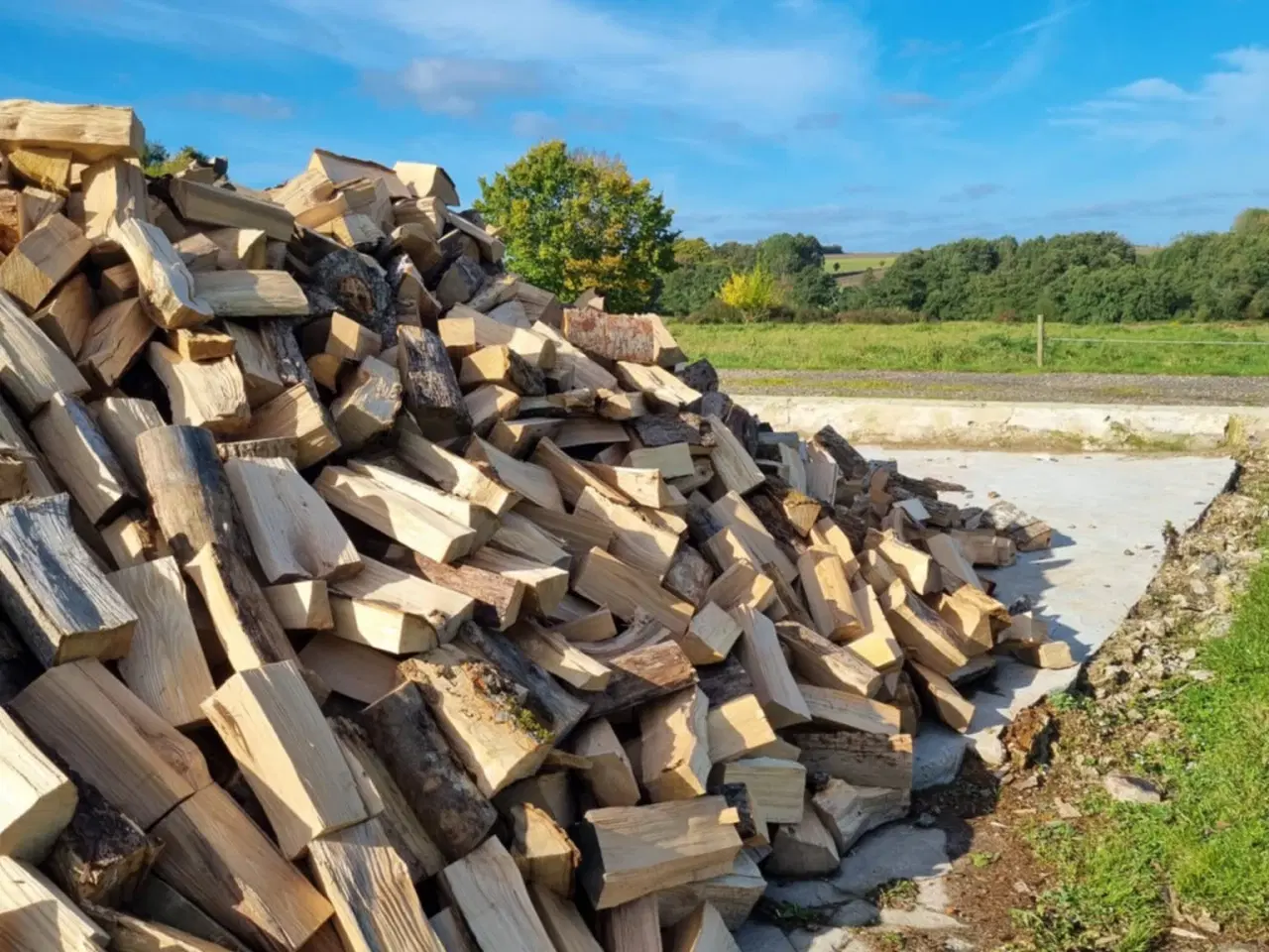 Billede 4 - Fyringsklart brænde 🔥 med mulighed for levering 