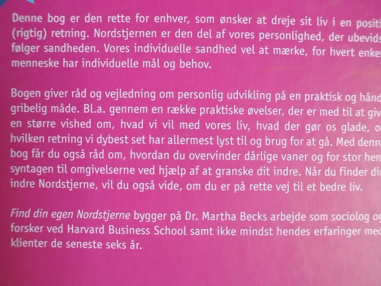 Billede 3 - find din egen nordstjerne - den sikre kurs til det