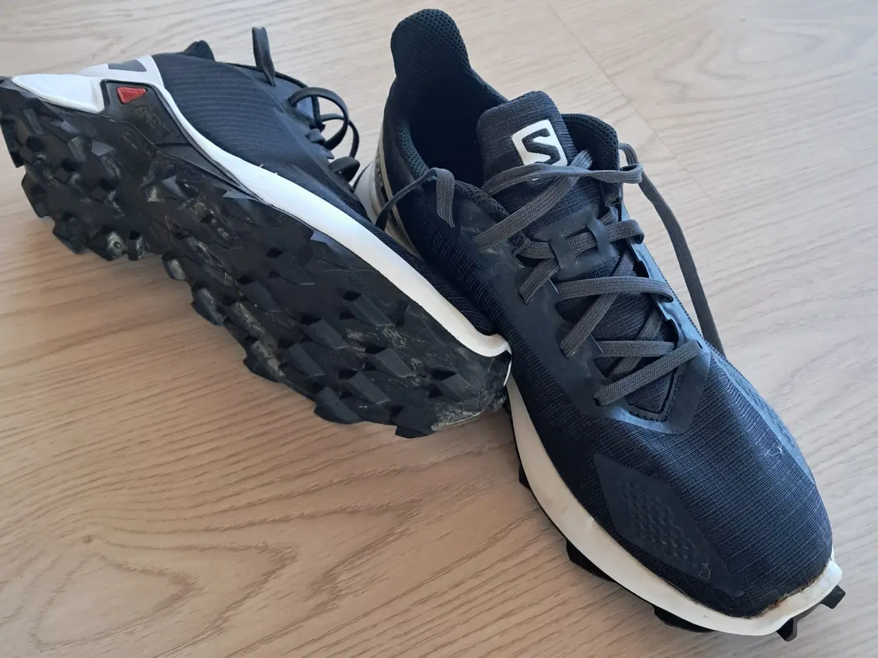 Billede 1 - Salomon Alphacross Blast J str. 40