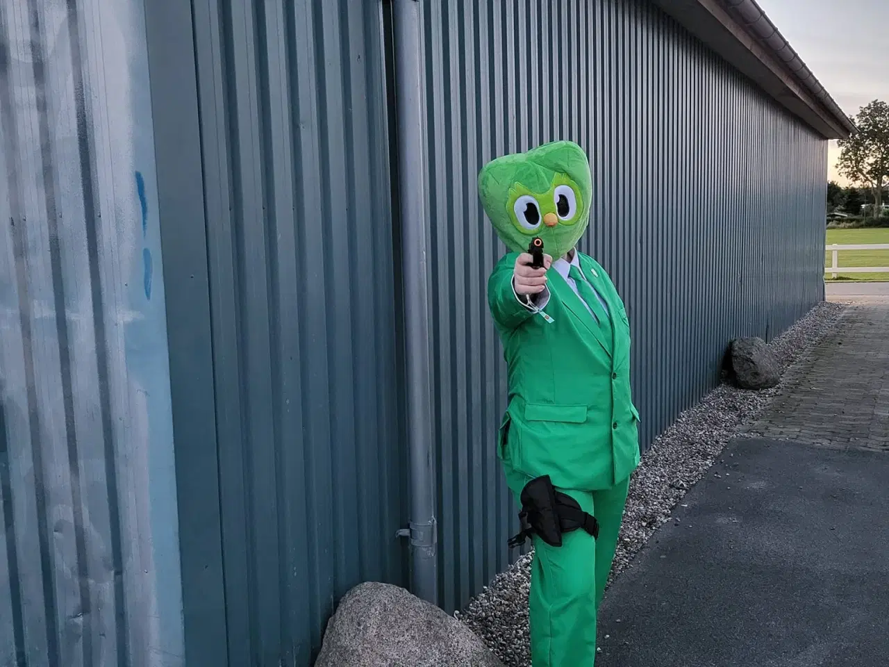 Billede 2 - Duolingo håndlanger cosplay + plush