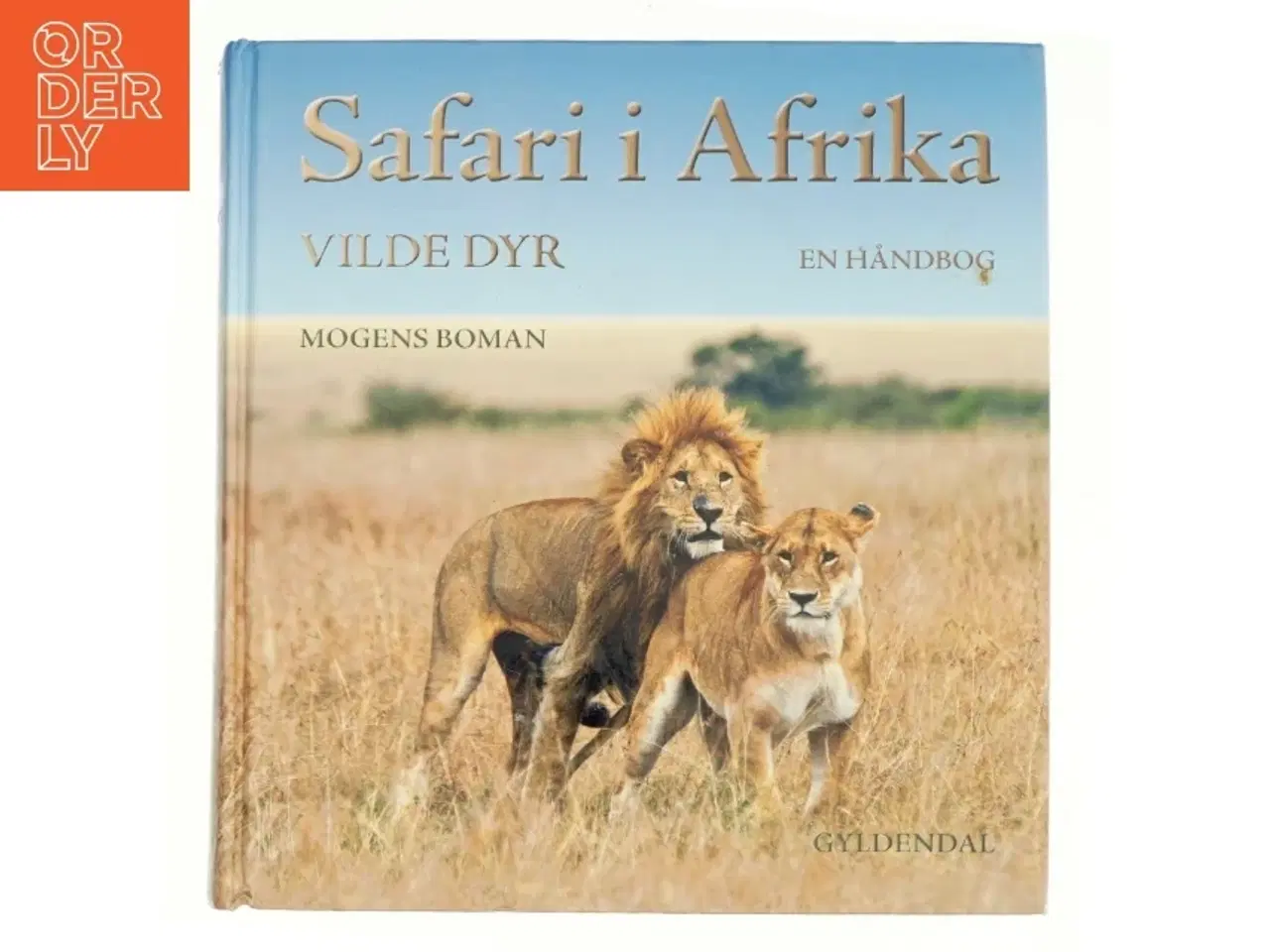 Billede 1 - Safari i Afrika