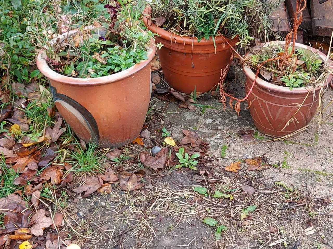 Billede 1 - 3 krukker