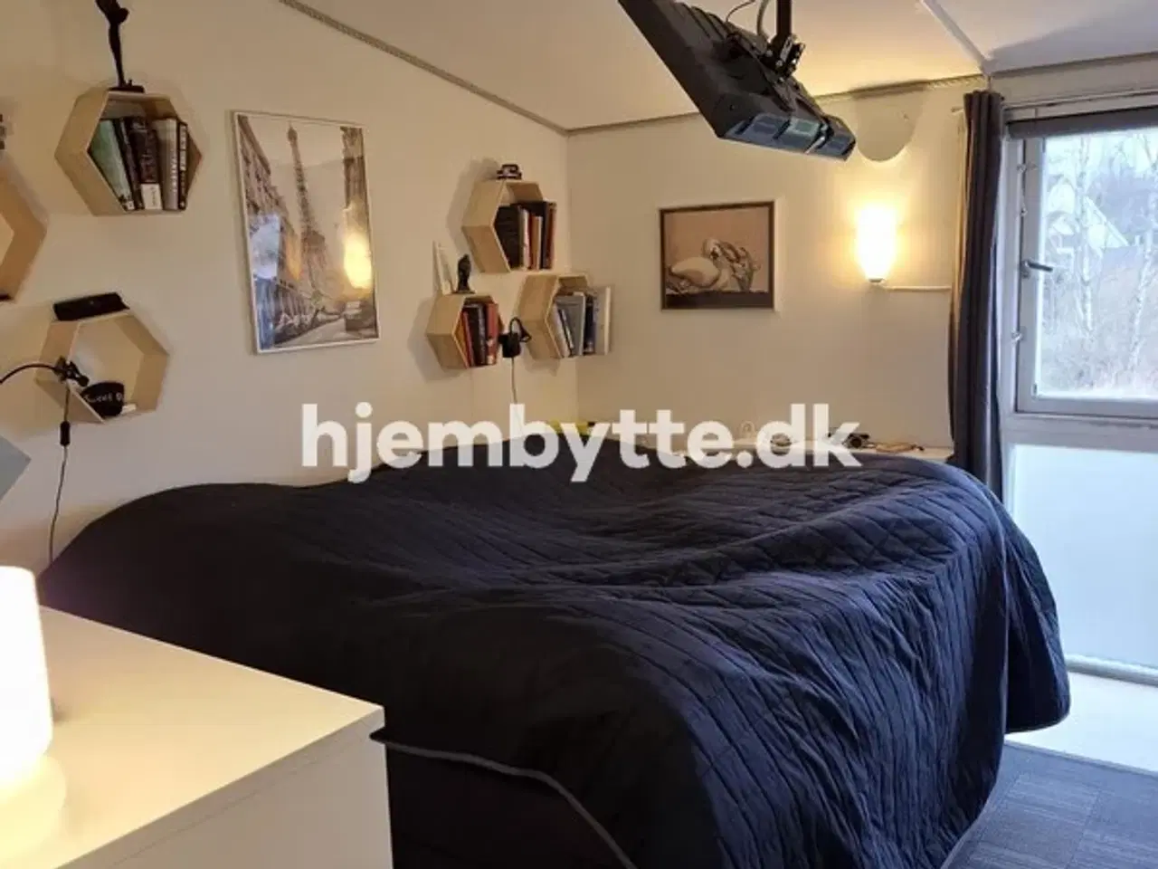 Billede 12 - Hjembytte - Hyldemosen