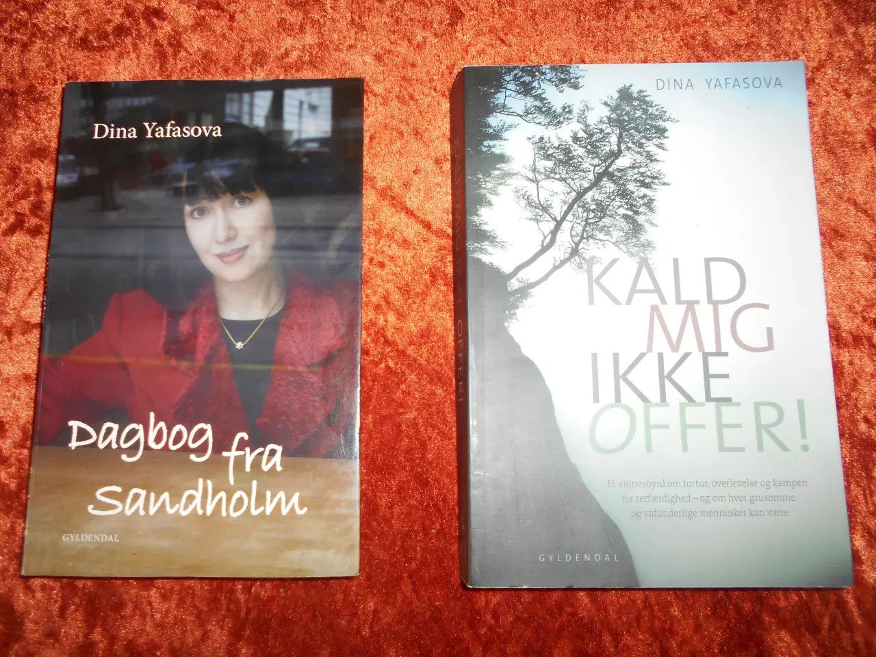 Billede 1 - Kald mig ikke offer m.fl,  Dina Yafasova,
