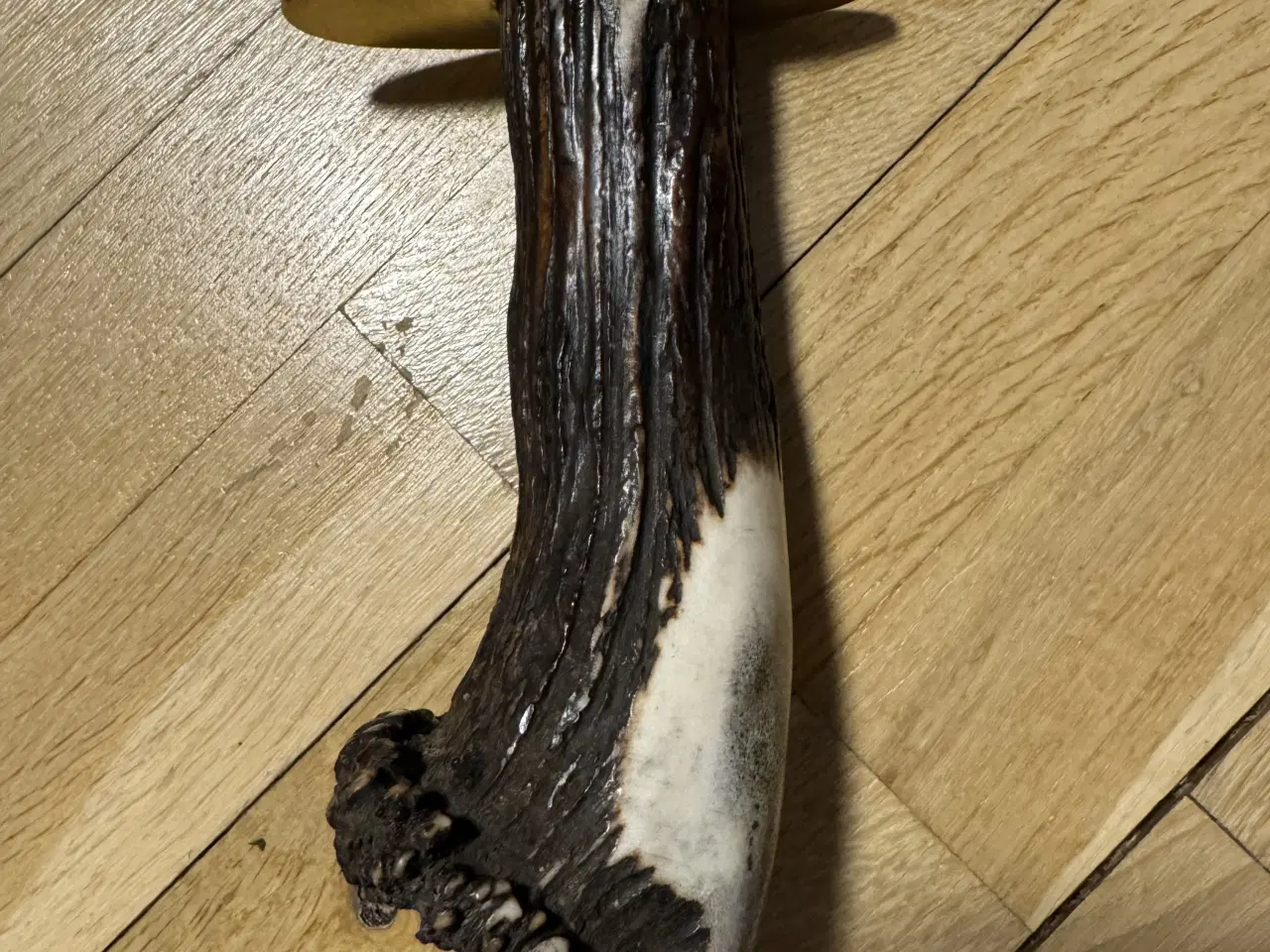 Billede 5 - Sværd eller mega stor kniv 