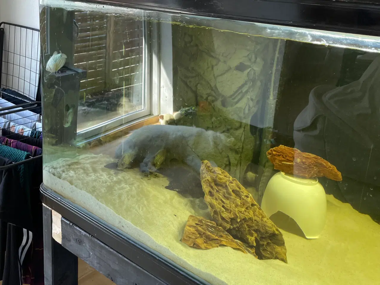 Billede 4 - 600 Liter akverie