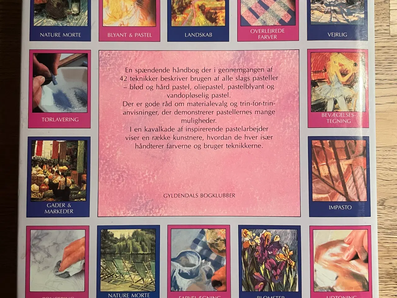Billede 2 - Håndbog i Pastelteknikker, Judy Martn