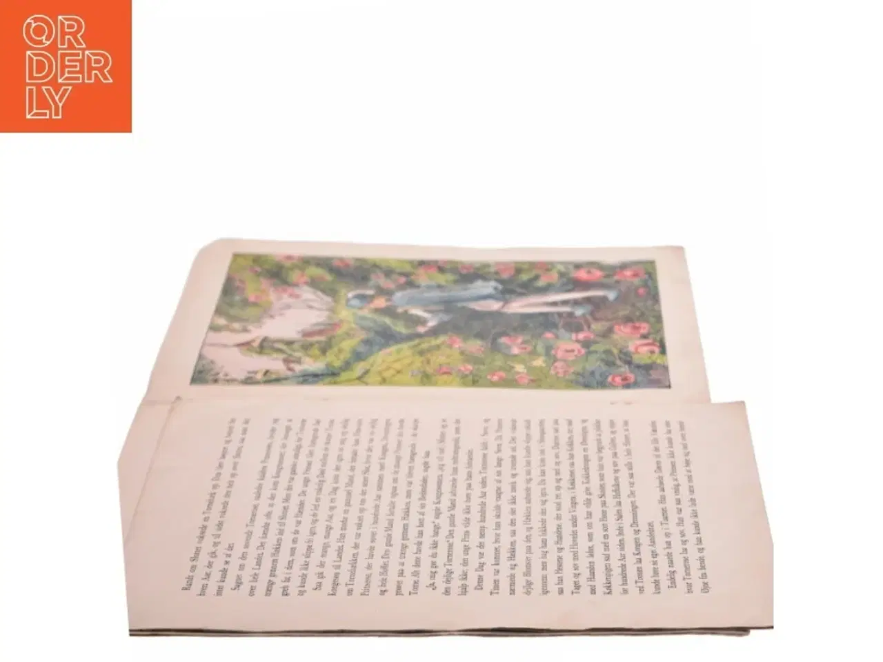 Billede 4 - Torne Rose Billedbog fra Carl Larsens Forlag