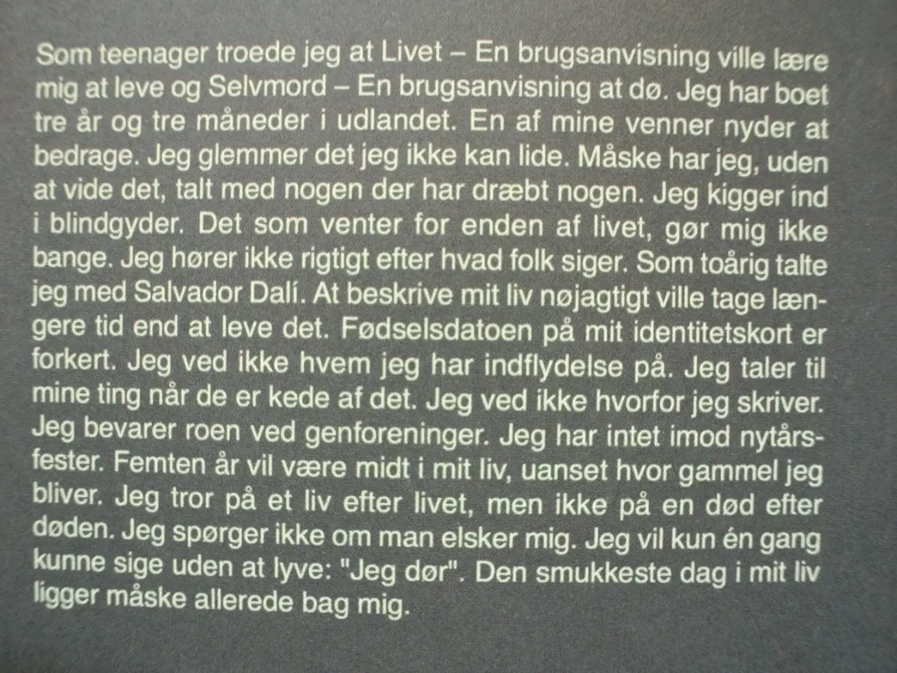 Billede 2 - selvportræt, af edouard leve