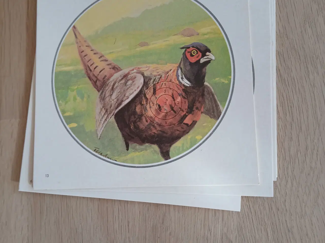 Billede 2 - Skydeskiver til luftgevær.