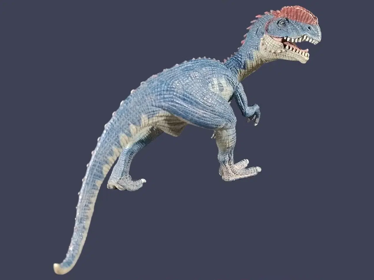 Billede 1 - Schleich 14567 Dilophosaurus (2016)