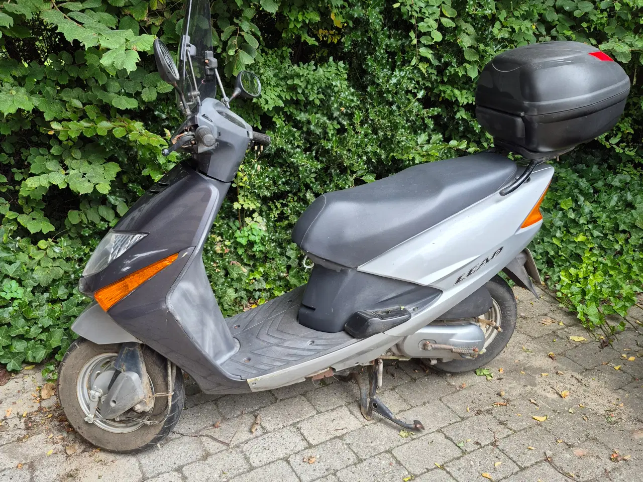 Billede 3 - Honda Lead, 100cc motorcykel