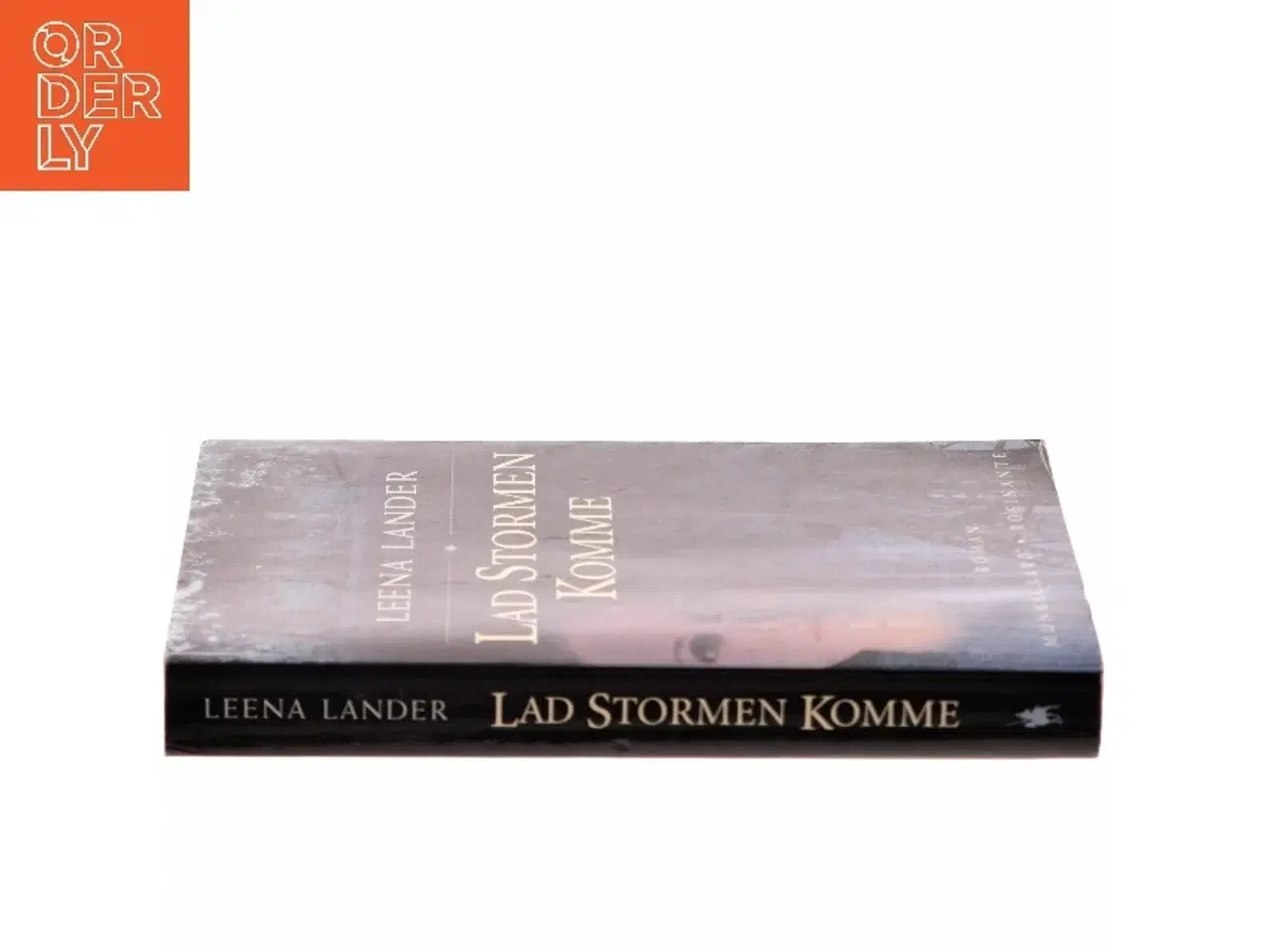 Billede 2 - Lad stormen komme : roman af Leena Lander (Bog)