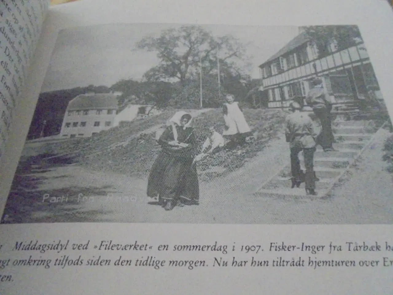 Billede 10 - Søllerød – som det var engang. Langs Mølleåen