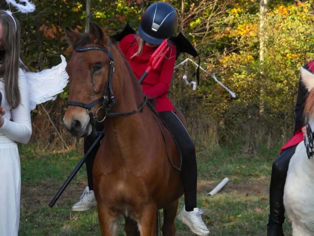 Billede 4 - Part eller Udlån 