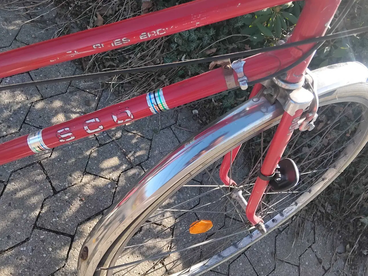 Billede 5 - Sco verdensmester