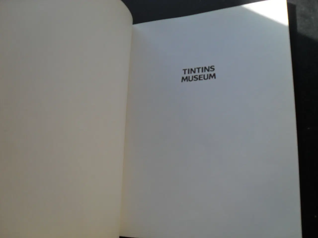 Billede 3 - tintins museum, sjældent album meget flot