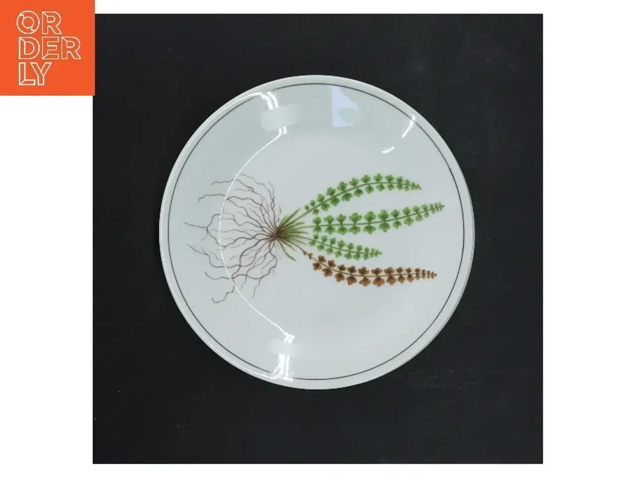 Billede 2 - Tallerkensæt med planteillustration fra Royal Copenhagen (str. Ø 17 cm)