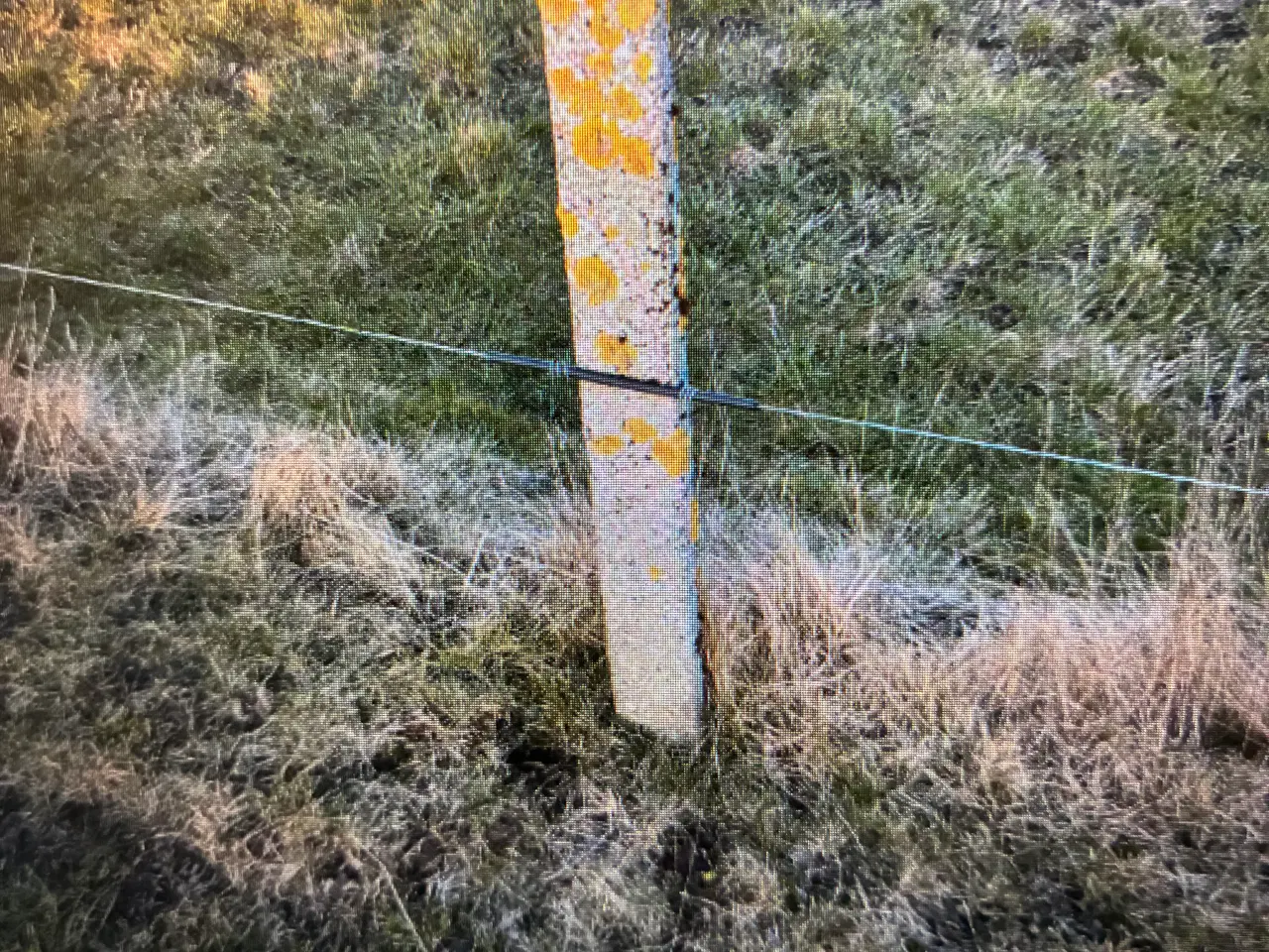 Billede 2 - KØBES - betonspalter, 1,80 til 2,00x0,10x0,10 