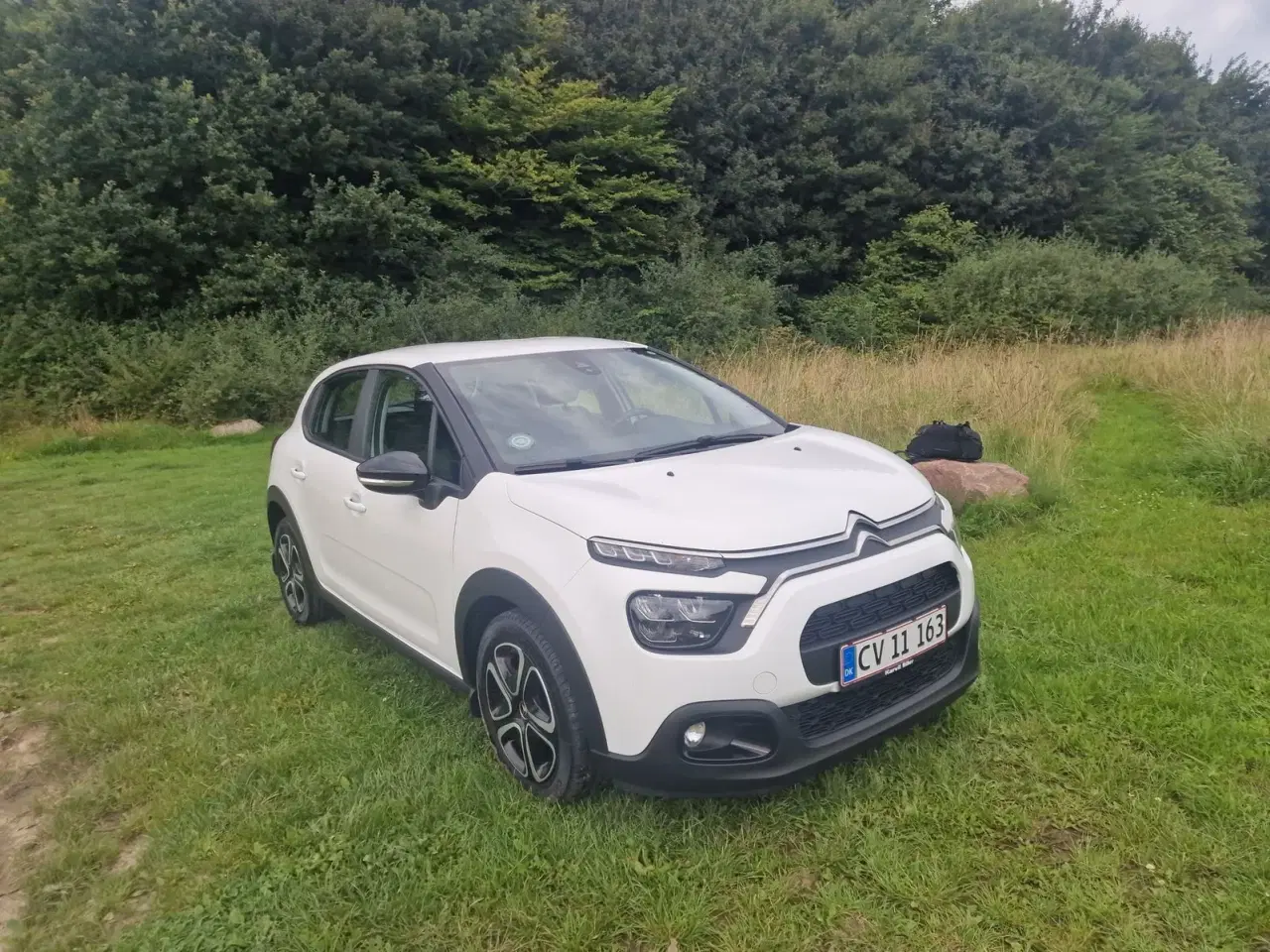 Billede 3 - Citroën C3 1,5 BlueHDi 100 Cool