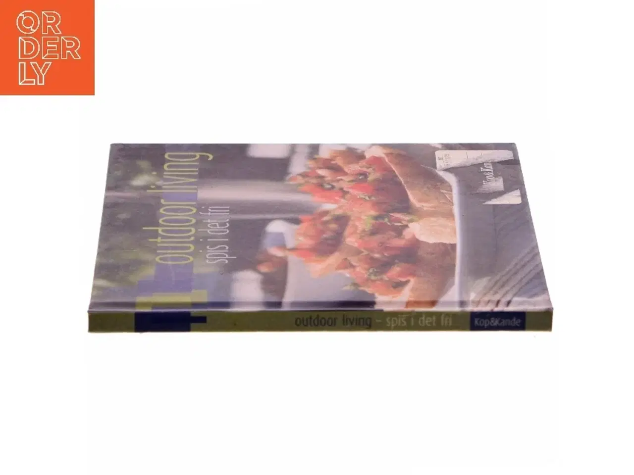 Billede 2 - Outdoor living - spis i det fri : småretter, hovedretter, desserter, brød og tilbehør af Sandra Leigh Draznin (Bog)