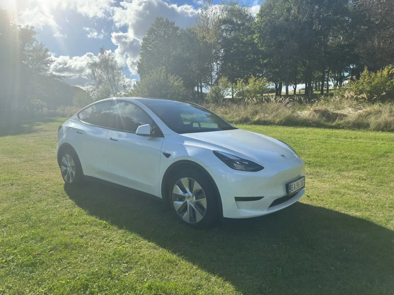 Billede 3 - Tesla Model Y  RWD